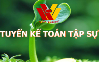 Tuyển kế toán tập sự - Công ty Dịch vụ kế toán Tầm Nhìn Việt